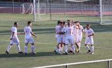 6MD-Foin-Elp_4-0 6MD-Foin-Elp_4-0