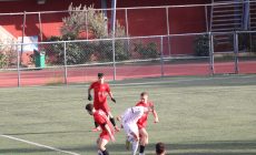 IMG_1633 IMG_1633