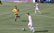 IMG_1959