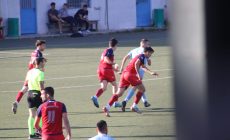 IMG_2519