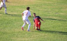 IMG_2528