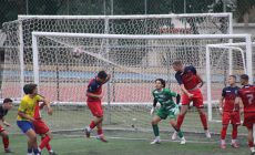 IMG_2571