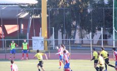 IMG_2575 IMG_2575