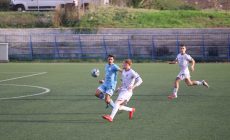 IMG_2592 IMG_2592