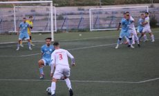 IMG_2595 IMG_2595